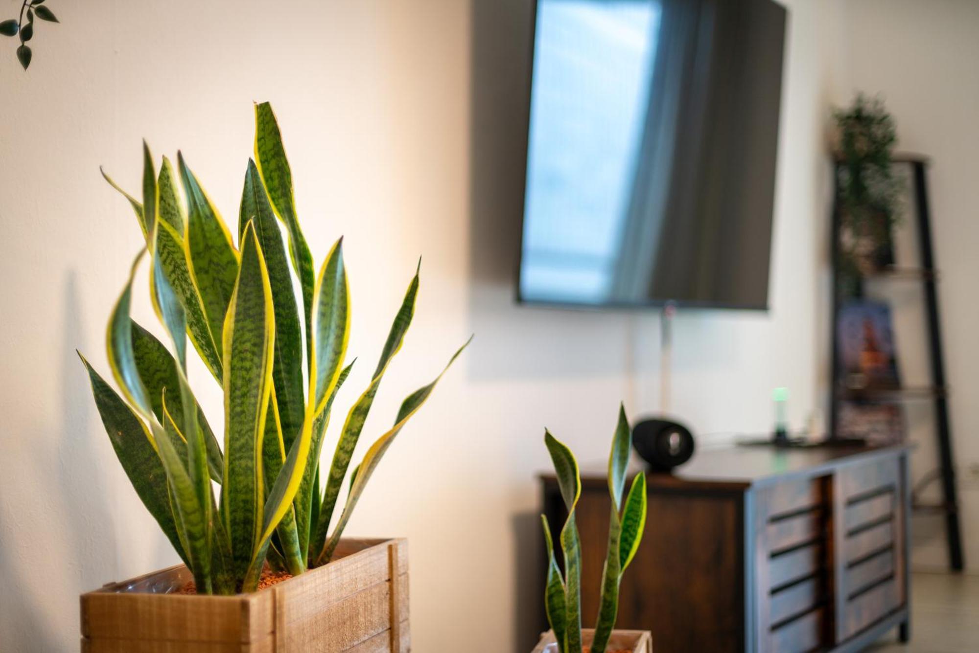 Apartament Easybike Balkon Switch 4P Grill Arnsberg Zewnętrze zdjęcie